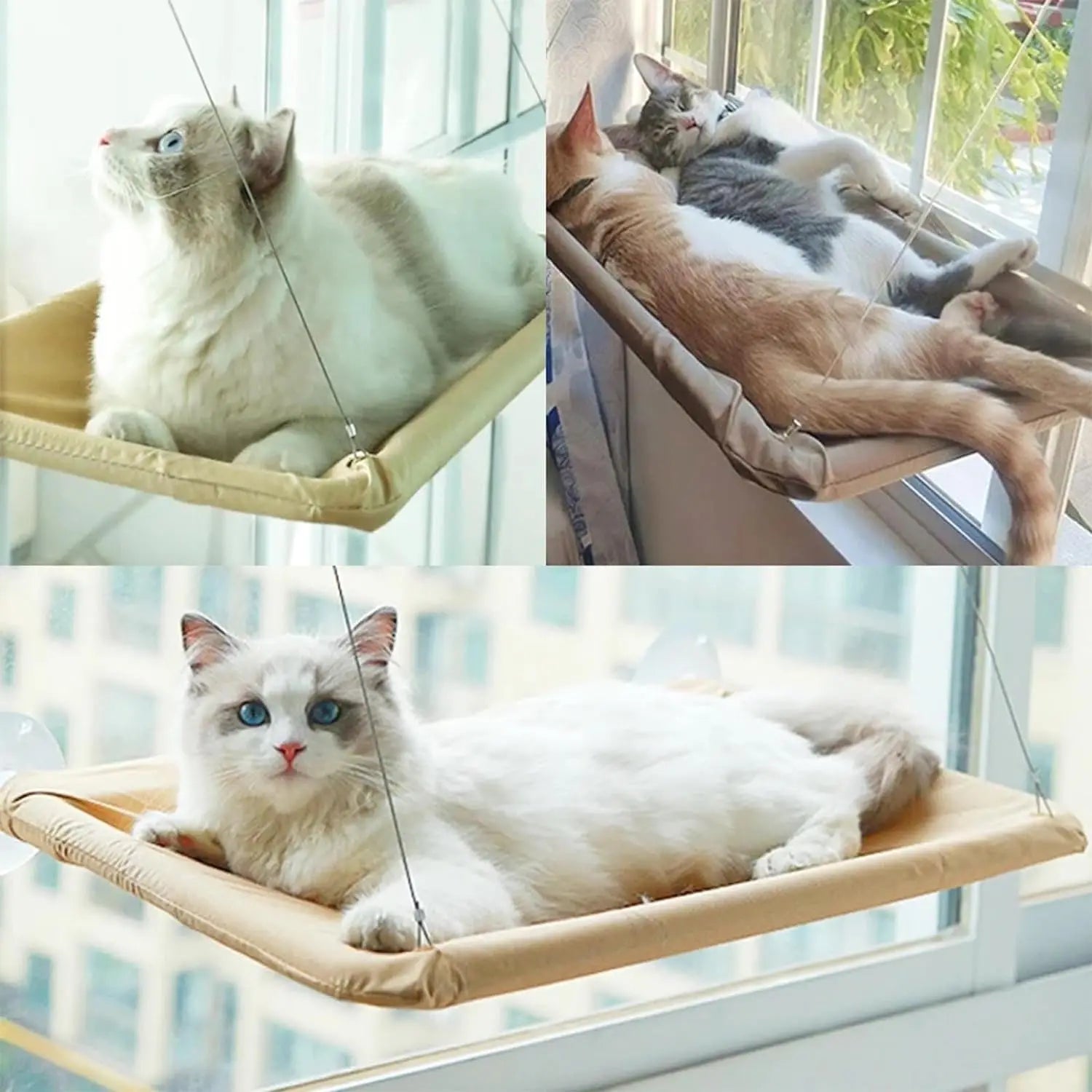 Heavy-Duty Sunny Seat Cat Window Hammock