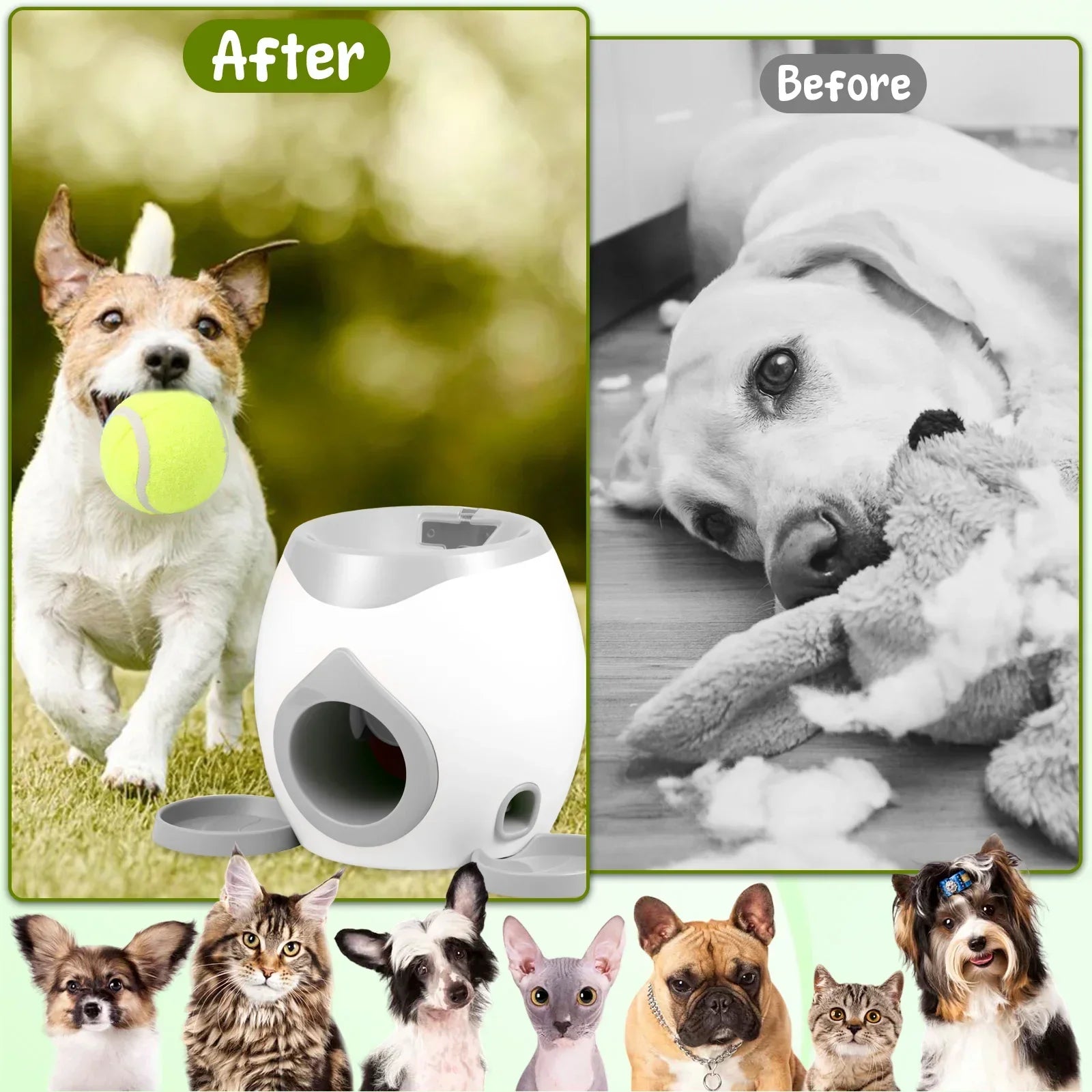Automatic Interactive Dog Tennis Ball Launcher